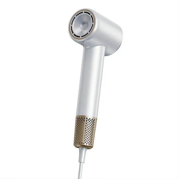 Professional Personalized Hair Dryer